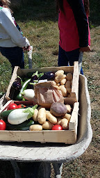 Photo n°13 de Le Jardin et le Camping de la Bardonnière à Bois-de-Céné (Maraîcher)