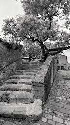Photo n°2 de Restaurant Les Choucas à Chauvigny (Restaurant)
