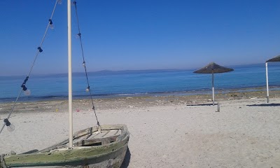 Photos of Sparos Meze