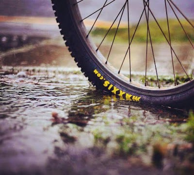 Photos of Maxxis Bike Algerie