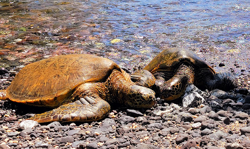 Makena Landing Park - Thumbnail