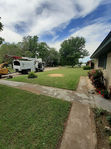 Texas Tree Services - Visual