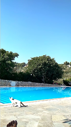 Opinii despre Alkistis Hotel în Σκόπελος - Ινστιτούτο αισθητικής