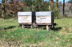 Photo n°5 de Lacourcelle Benoit - apiculteur bio professionnel en Corrèze à Chaumeil (Magasin bio)