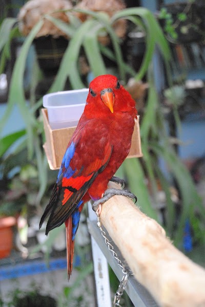 Photos of J1 Bird Farm