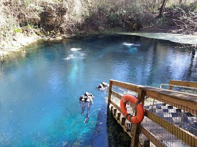 Photos of Wes Skiles Peacock Springs State Park