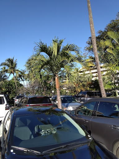 Royal Kona Resort Gallery - United States