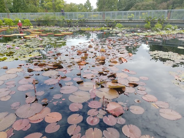 Garfield Park Conservatory