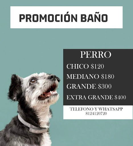 Clinica veterinaria villarreal