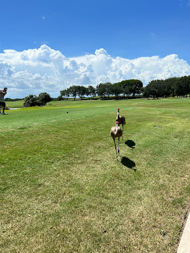 Okeeheelee Golf Course - Thumbnail