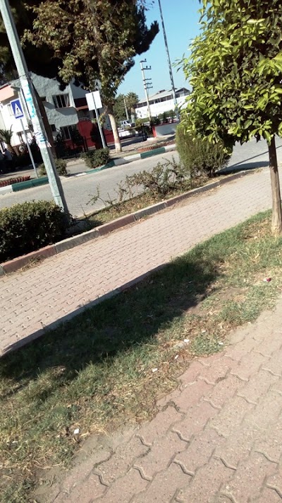 Photos of Orman M&uuml;d&uuml;rl&uuml;ğ&uuml; Lojmanı