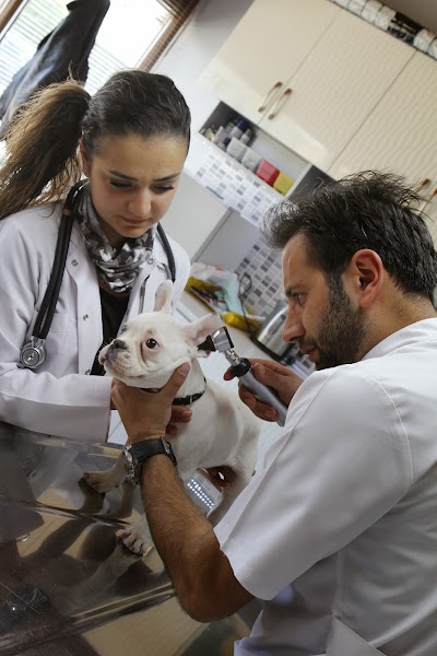 Photos of Topaz Kennels