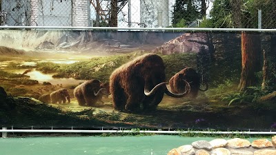 Photos of Elephant Park