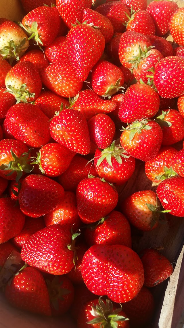 Agriturismo Garumba