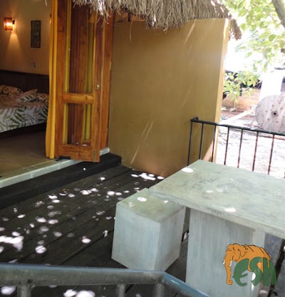 Photos of Elephant Safari Hotel