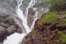 Dudhsagar Falls, Mollem National Park, India