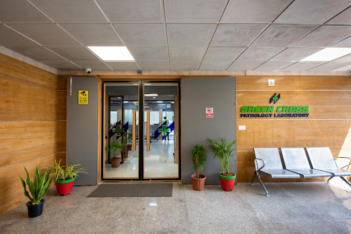 Af1qippnw8sje5 Zbztmt5cskvpeil04s9vigx K7 Ol=s506 K No