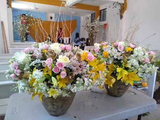 Eventos Rosa de Jericó - Thumbnail