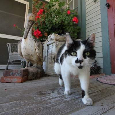 Photos of Onion River Animal Hospital