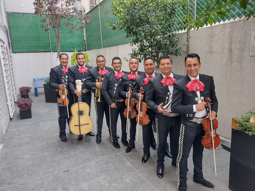 Mariachi Titanium