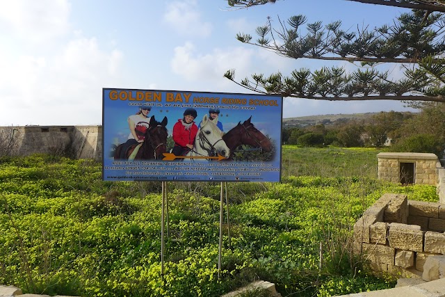 Golden Bay Horse Riding