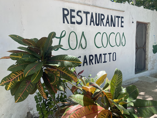 Restaurante Los Cocos Carmito - Thumbnail