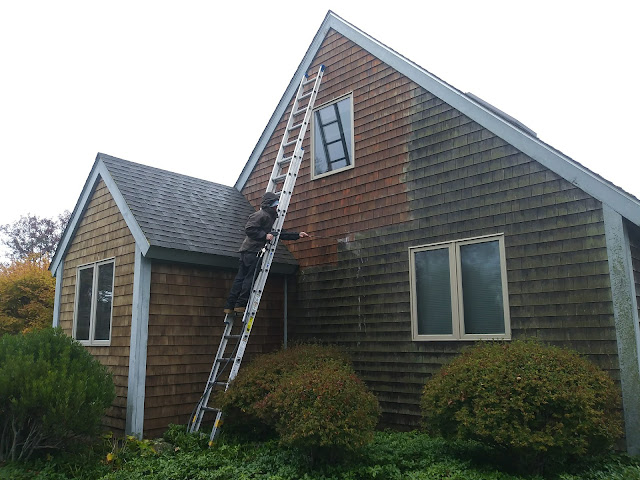 Photo of Safeway Softwash Solutions located in  - Top-rated Pressure Washing Service near me.
