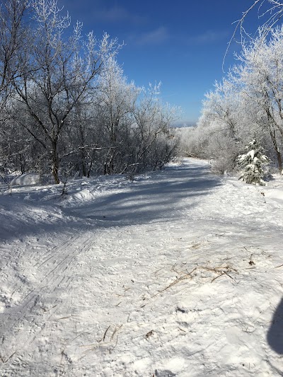 Miners Park Sledding Hill