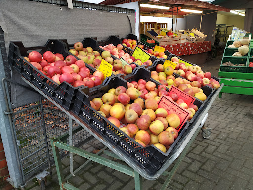 Fruchthof - Visual