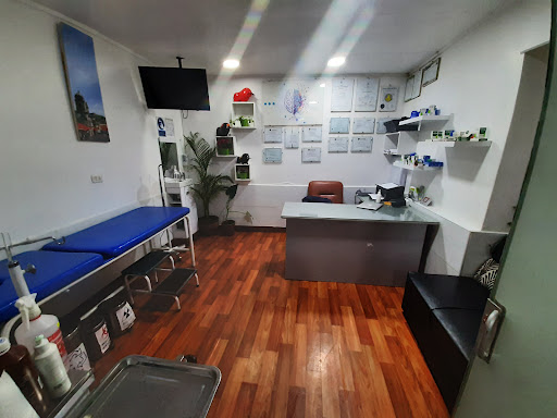 BuenaSalud "servicios Medicos"