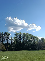 Photo n°19 de Moustierious à Peyzac-le-Moustier (Organisateur d'exposition)