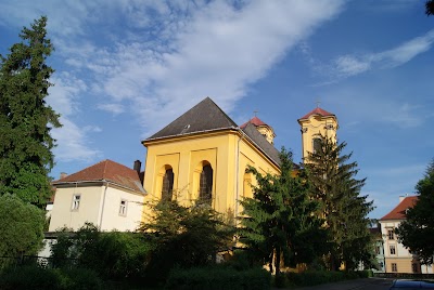Photos of Szeplőtelen Fogantat&aacute;s Nagyboldogasszony Ferences templom