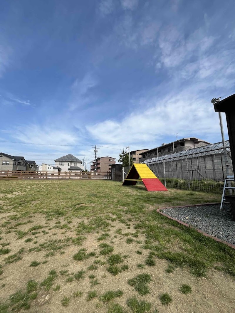 ドッグスクール竹山