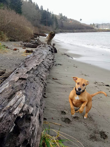 Clallam Bay West - Thumbnail