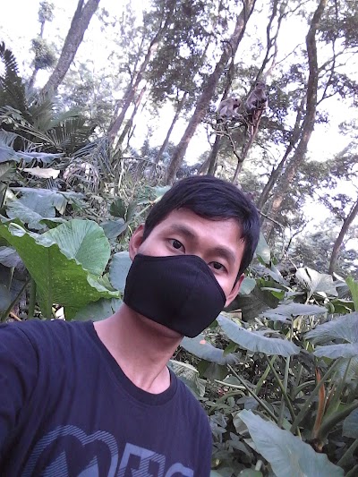 Photos of Makam Solear