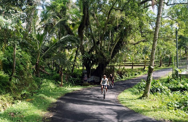 The Kayon Resort Ubud Bali