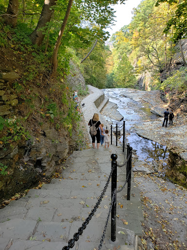 Ithaca, NY - Visual