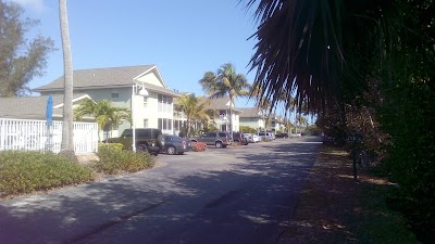 Photos of Sea Shells Of Sanibel