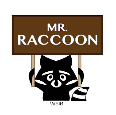 photo of Mr. Raccoon