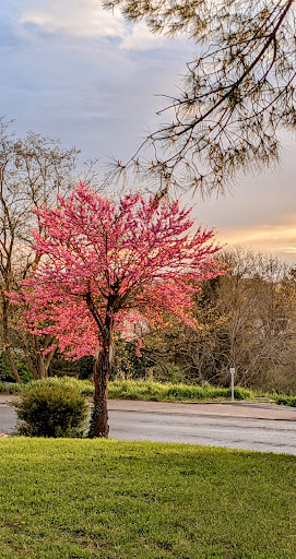 Photo de Foyer Rural de Launac à Launac (31330)