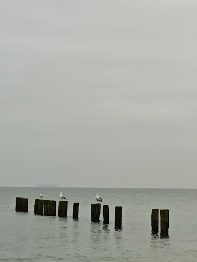 Parkhaus Ostsee - Thumbnail