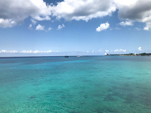 Mayacaribbean - Visual