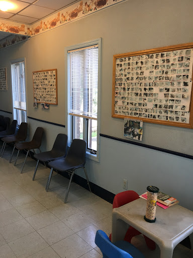 Central Jersey Veterinary Clinic - Thumbnail