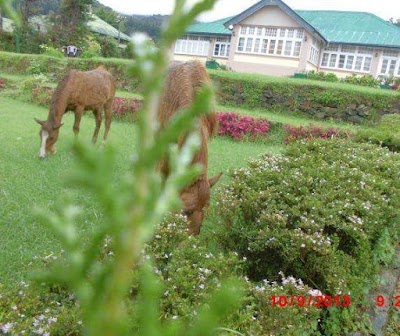 Photos of City Home