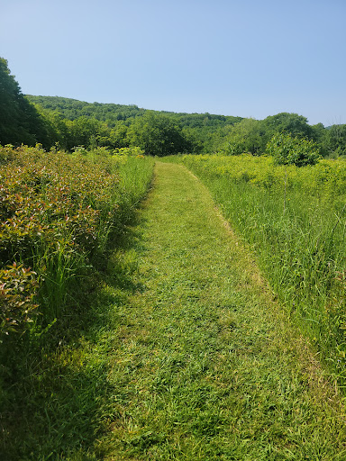 Mohonk Preserve Spring Farm Trailhead parking - Thumbnail