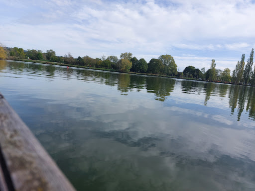 Comprehensive School De La Borde Basse - Thumbnail