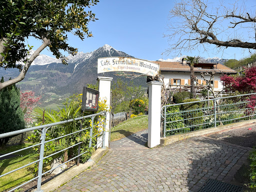 Fernblick im Weinberg - Thumbnail