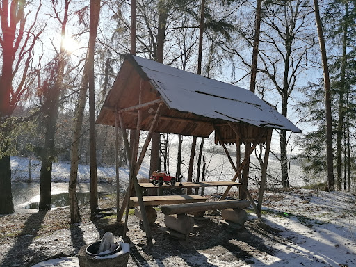 Frösig - Visual