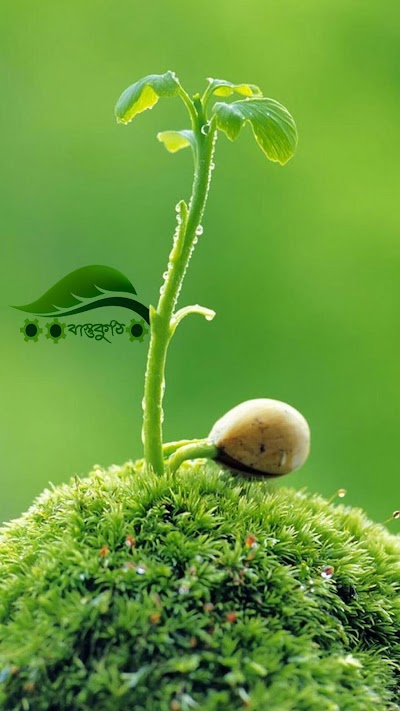 Photos of Bastukuthi বাস্তুকুঠি