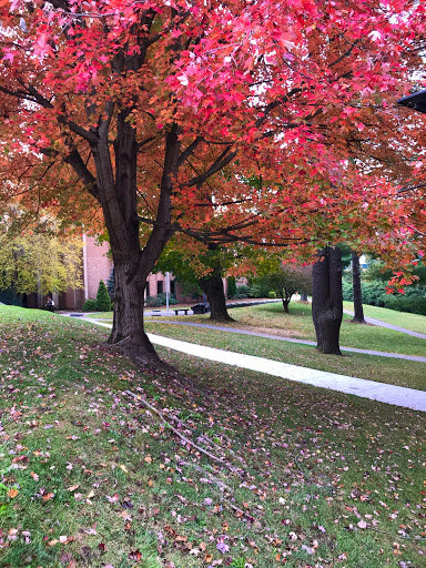 B.B. Dougherty Hall - Thumbnail